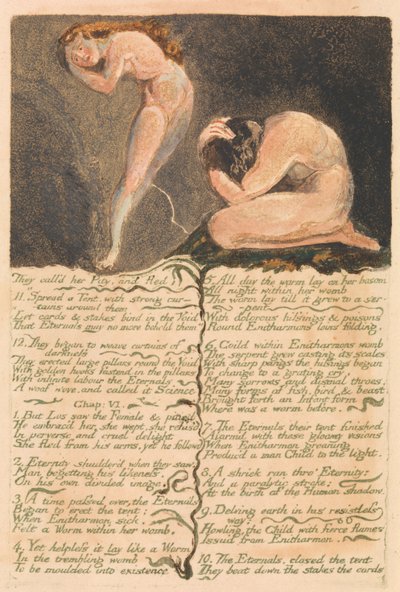 Het Eerste Boek van Urizen, Plaat 17, "Ze noemden haar Medelijden en vluchtten..." (Bentley 19) door William Blake