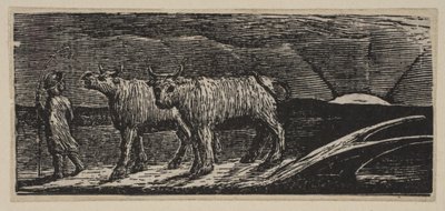 Ongejode Ossen, Langzaam Naar Huis, uit Thorntons Pastorals of Virgil door William Blake