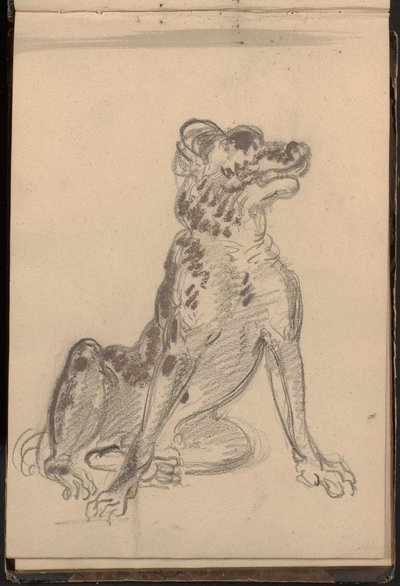 Portret van een hond door William Brockedon