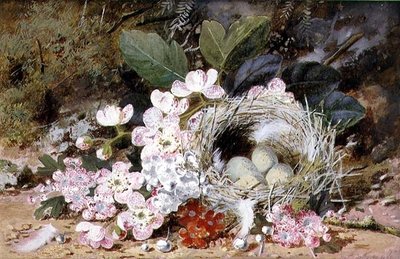 Stilleven van Vogelnest met Sleutelbloemen door William Cruikshank