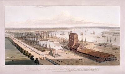 Brunswick Dock, en East India Dock, Poplar, Londen, 1803 door William Daniell