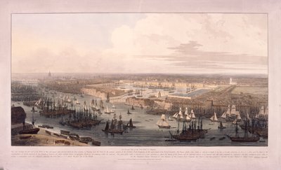 Londense Docks, 1803 door William Daniell