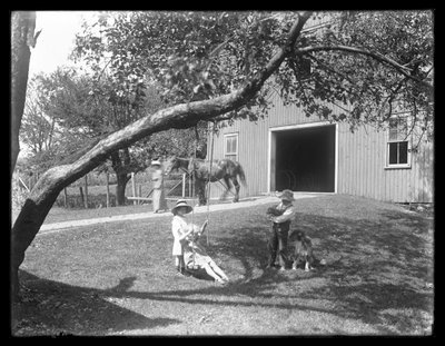 Kinderen van de McCready familie met een hond en puppy verzameld rond een touwschommel buiten een schuur, c.1913 door William Davis Hassler