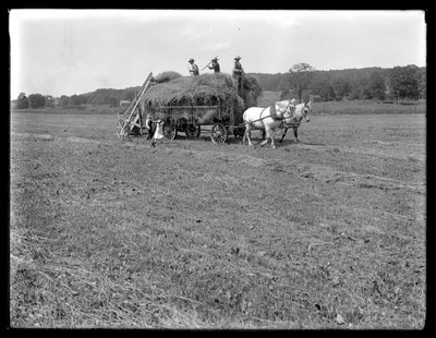 Boeren die hooi laden op een door paarden getrokken hooiwagen, McCready Farm, Crawford County, Pennsylvania door William Davis Hassler