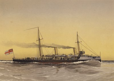 HMS Speedwell, torpedokanonneerboot door William Frederick Mitchell