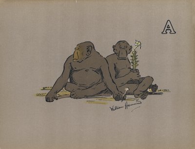 Letter A, Esthetische antropoïde apen die abnormaal apathische houdingen aannemen door William Hammond