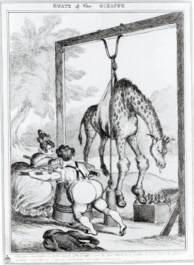 Staat van de giraffe, 1829 door William Heath