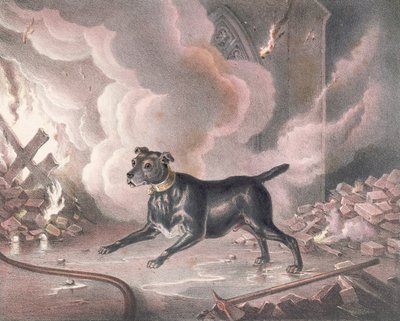 De hond van de Londense brandweerman door William Heath