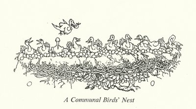 Een Gemeenschappelijk Vogelnest door William Heath Robinson