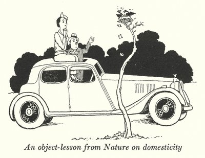 Een les van de natuur over huiselijkheid (litho) door William Heath Robinson