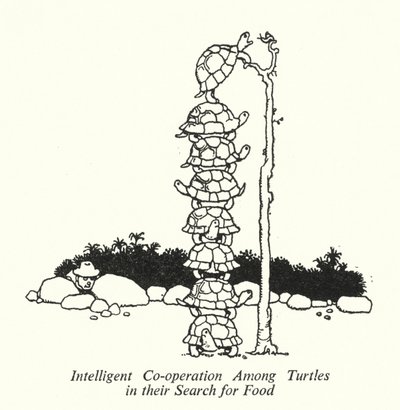 Intelligente Samenwerking Onder Schildpadden bij hun Zoektocht naar Voedsel door William Heath Robinson