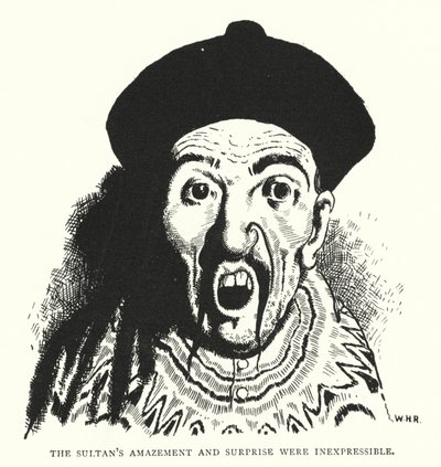 De verbazing en verrassing van de sultan waren onuitsprekelijk door William Heath Robinson