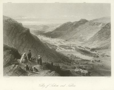 Vallei van Sichem en Nablus, Palestina door William Henry Bartlett