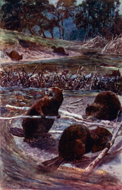 "Ze bouwen een dam over de stroom" door William Henry Charles Groome