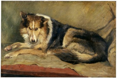 Colliehond door William Henry Charlton