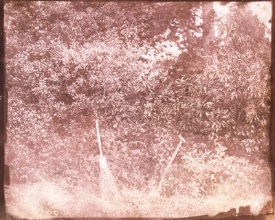 Bezem en spade, 1842 door William Henry Fox Talbot