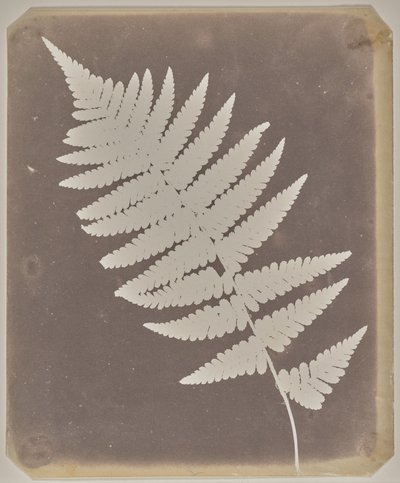  door William Henry Fox Talbot