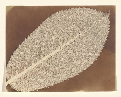  door William Henry Fox Talbot