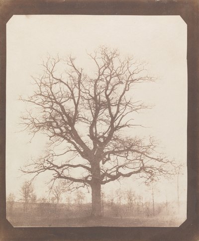  door William Henry Fox Talbot