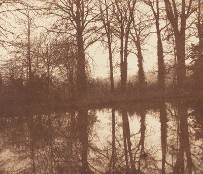 Winterbomen, weerspiegeld in een vijver,1841-1842 (foto) door William Henry Fox Talbot