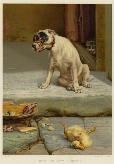 Schuldig, of niet schuldig (chromolitho) door William Henry Hamilton Trood