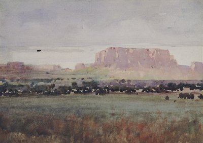 In het Plateaugebied, Colorado door William Henry Holmes
