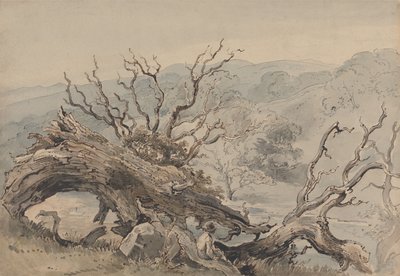 Een gevallen eik door William Henry Hunt