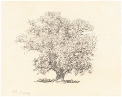 Een Boom in Vol Blad door William Henry Hunt