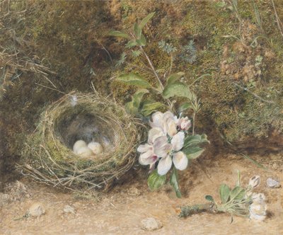 Vogelnest met takken van appelbloesems, c.1845-50 door William Henry Hunt