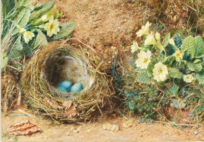 Vogelnest met drie blauwe eieren en sleutelbloemen door William Henry Hunt