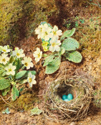 Sleutelbloemen en vogelnest met drie blauwe eieren door William Henry Hunt