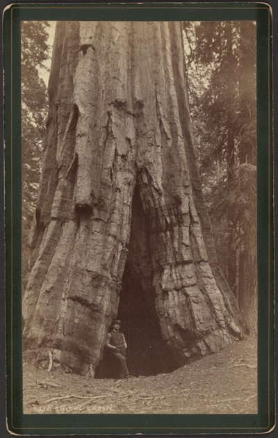 Smiths hut door William Henry Jackson