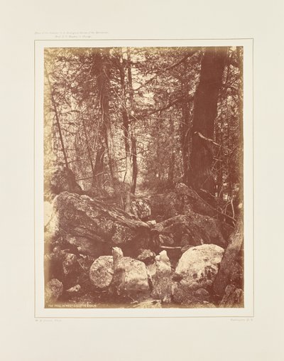 Het pad in het bos, Gallatin Cañon door William Henry Jackson