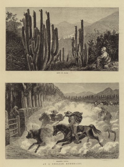 Bij een Chileense Rodeo, III door William Henry James Boot