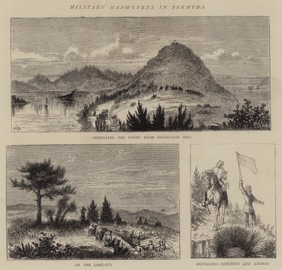 Militaire Manoeuvres in Bermuda door William Henry James Boot