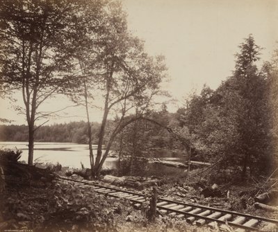 Beechwood Lake,c. 1895 (foto) door William Herman Rau