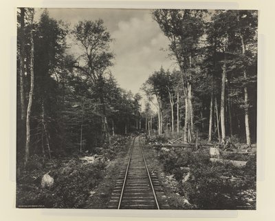 Ganoga Lake Branch, L.V.R.R., ca. 1899 door William Herman Rau