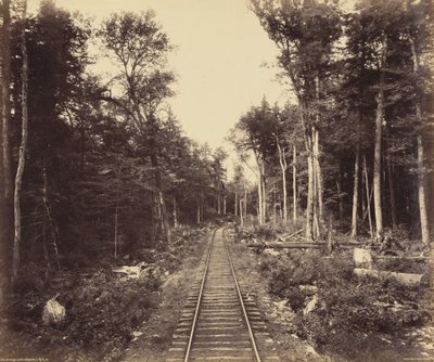 Ganoga Lake Branch,ca 1895 (foto) door William Herman Rau
