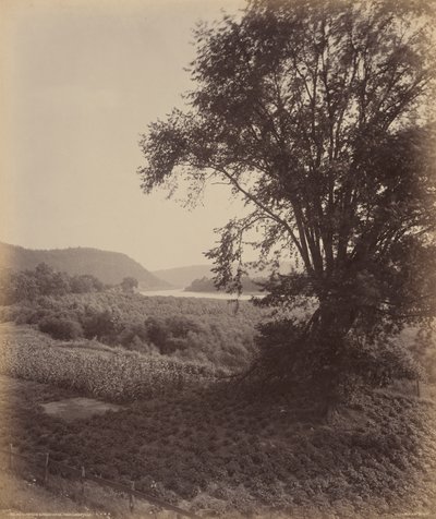 Pittoreske Susquehanna, bij Laceyville, ca 1895 (foto) door William Herman Rau