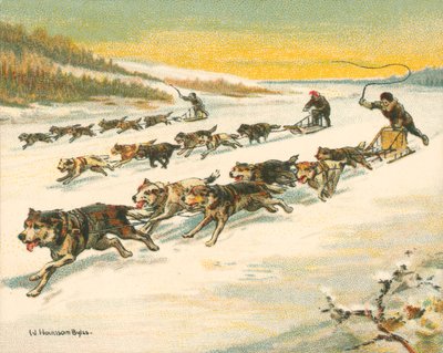 Historische en moderne races, Canadese hondensleeraces (chromolitho) door William Hounsom Byles