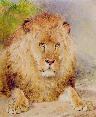 Leeuw door William Huggins