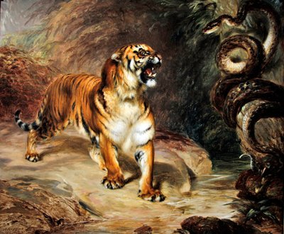 Tijger en python door William Huggins