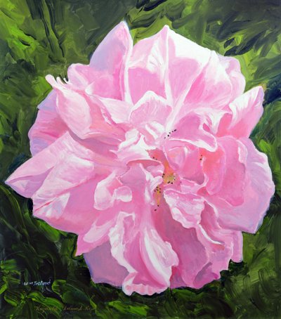 Victoriaanse roos door William Ireland