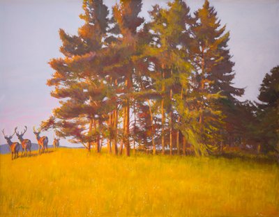 Uitzicht vanuit de hut door William Ireland