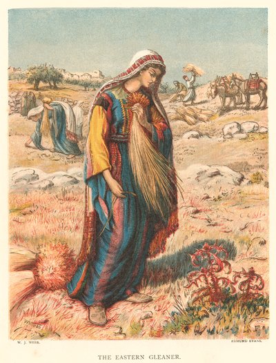 De Eastern Gleaner (ingekleurde gravure) door William J. Webbe or Webb