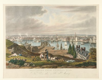 Baltimore vanaf Federal Hill door William James Bennett