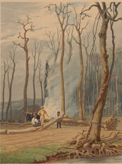 Lente - Brandende gevallen bomen in een gekapt bos. Westers tafereel door William James Bennett