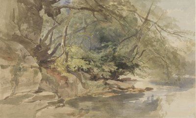 Gezicht in Stapleton Wood, bij Bristol door William James Muller