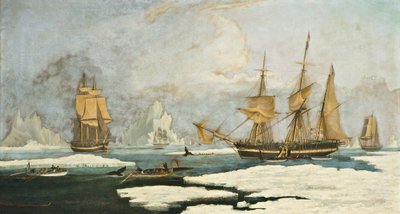 De Noordelijke Walvisvangst: Het schip Harmony van Hull en andere ijsgebonden walvisjagers, jagen op zeehonden, narwallen en walvissen op het Davis Straits walvisvangstgebied bij Groenland door William John Huggins