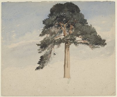 Schotse dennenboom door William Leighton Leitch
